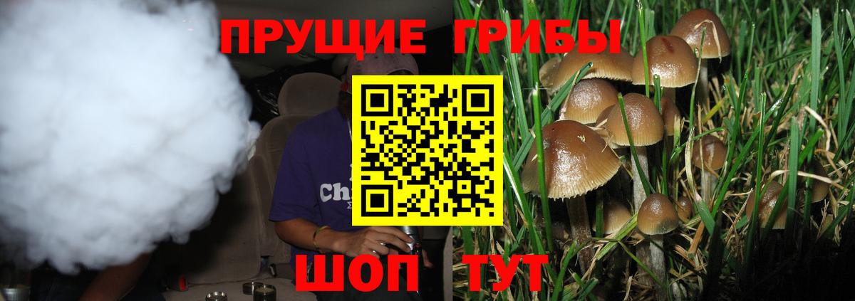 Галлюциногенные грибы ЛСД  Вход с VPN  Вятские Поляны 