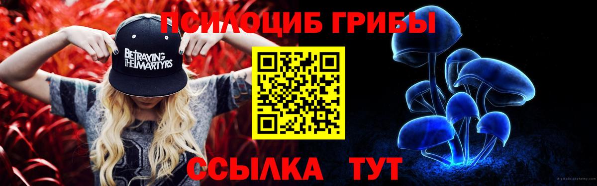 Галлюциногенные грибы Cubensis Вятские Поляны